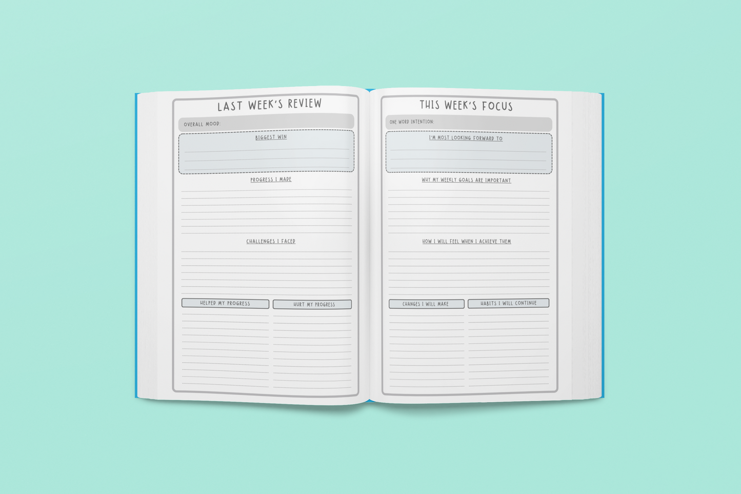 PURPOSE + PROGRESS Weekly Planner